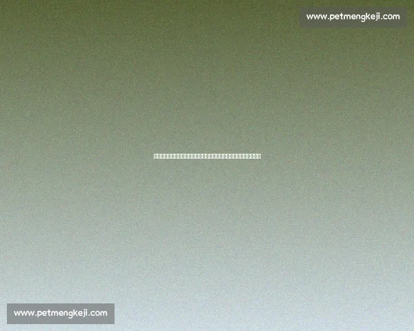 乌拉圭对阵日本的战术博弈与亚洲南美足球碰撞之夜焦点赛事前瞻解析