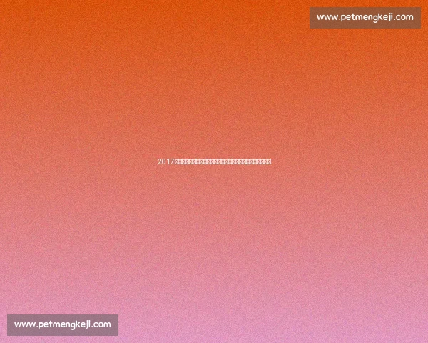 2017赛季鲁能对阵亚泰现场回顾球迷激情与绿茵记忆永恒瞬间定格