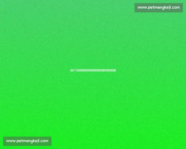 奥德VS强敌对决赛前分析球队状态与战术走势前瞻关键球员表现