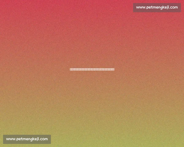 伯恩茅斯迎战利物浦英超焦点对决红军冲击连胜之路解析前瞻看点