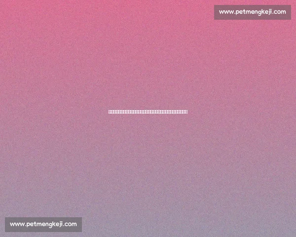 博塔弗戈对阵科林蒂安焦点之战揭示南美足球新格局激情碰撞与荣耀之夜