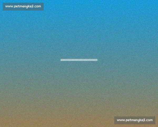 巴西女排与俄罗斯女排强强对话巅峰较量引爆世界排坛焦点之战