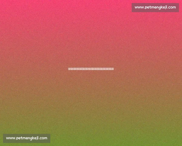 快船鏖战爵士焦点对决西部强队碰撞胜负悬念拉满赛场走向引爆关注