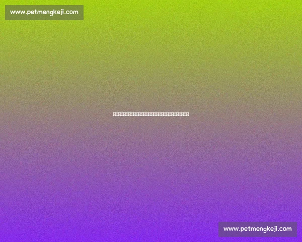 托尼弗格森对决嘴炮康纳谁能改写轻量级格局之战巅峰生死对决传奇