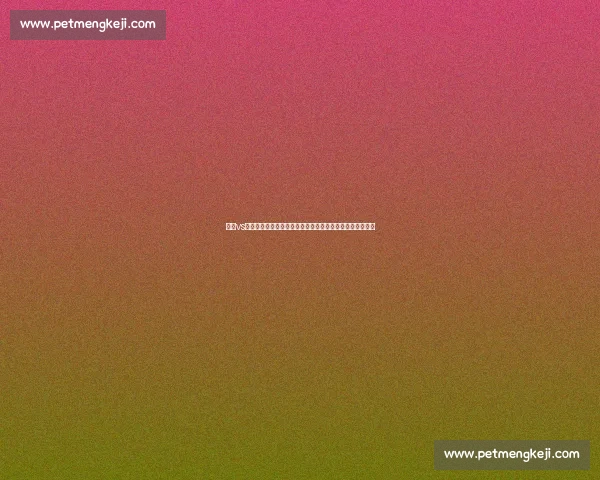 嘴炮vs梅威瑟世纪对决背后出场费差距与商业博弈全解析真相揭秘